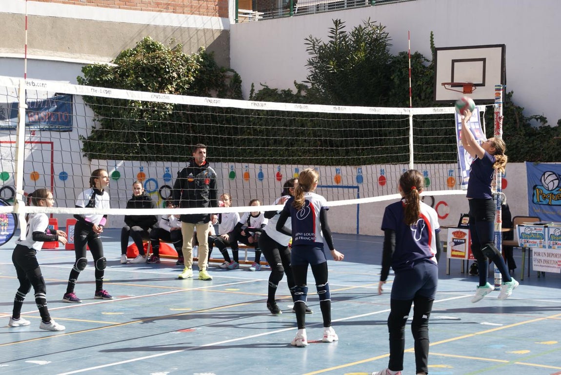 Las mejores imágenes del partido de voleibol alevín entre San Eulogio y Saint Louis des Français &quot;A&quot;