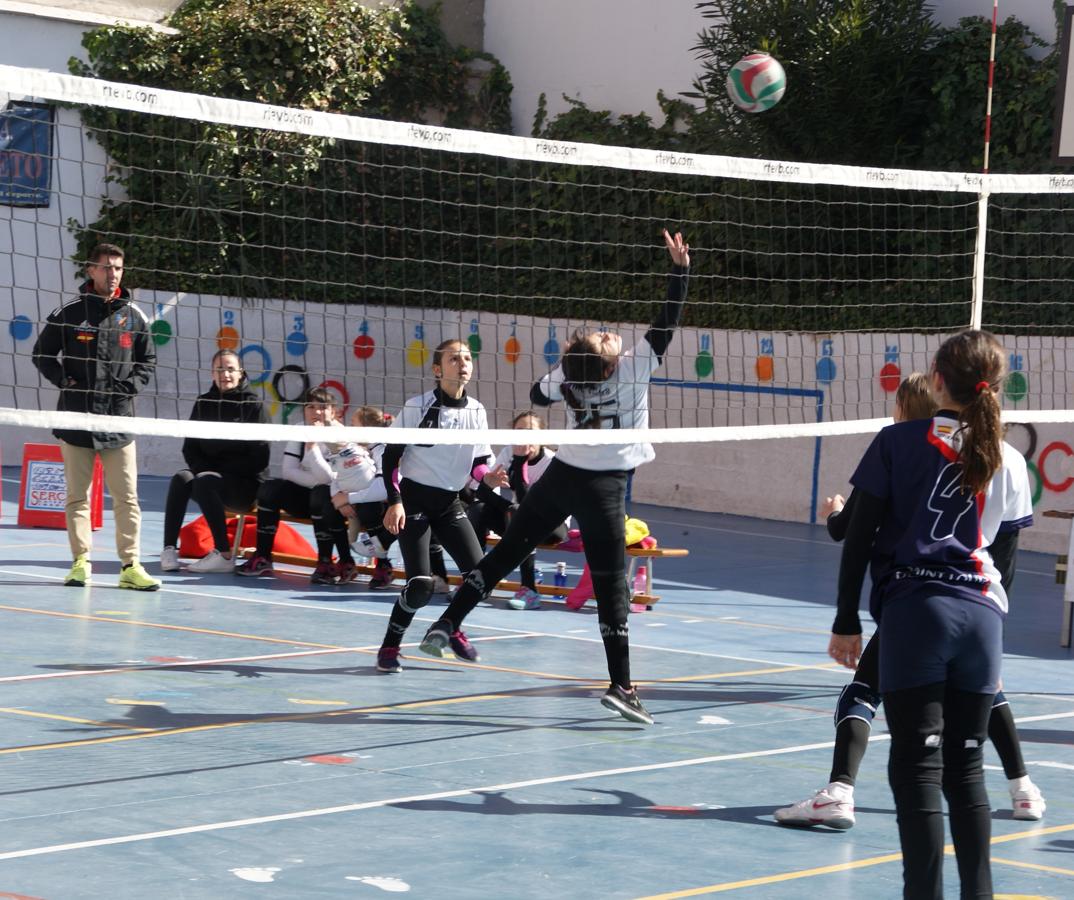 Las mejores imágenes del partido de voleibol alevín entre San Eulogio y Saint Louis des Français &quot;A&quot;