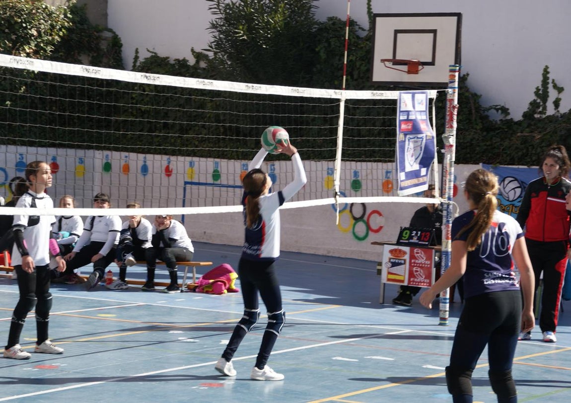 Las mejores imágenes del partido de voleibol alevín entre San Eulogio y Saint Louis des Français &quot;A&quot;