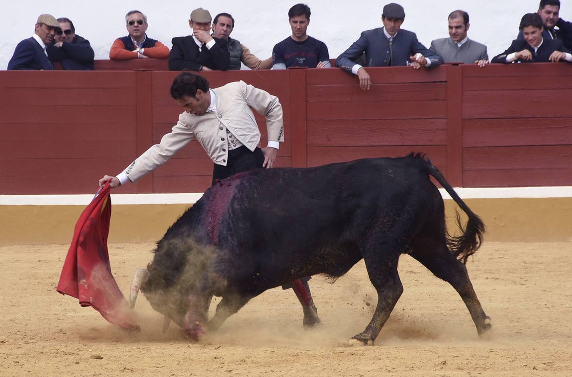 El festival taurino de Aracena, en imágenes