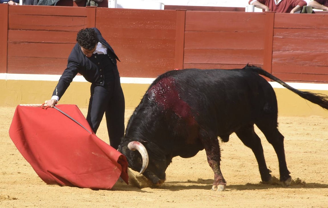 El festival taurino de Aracena, en imágenes