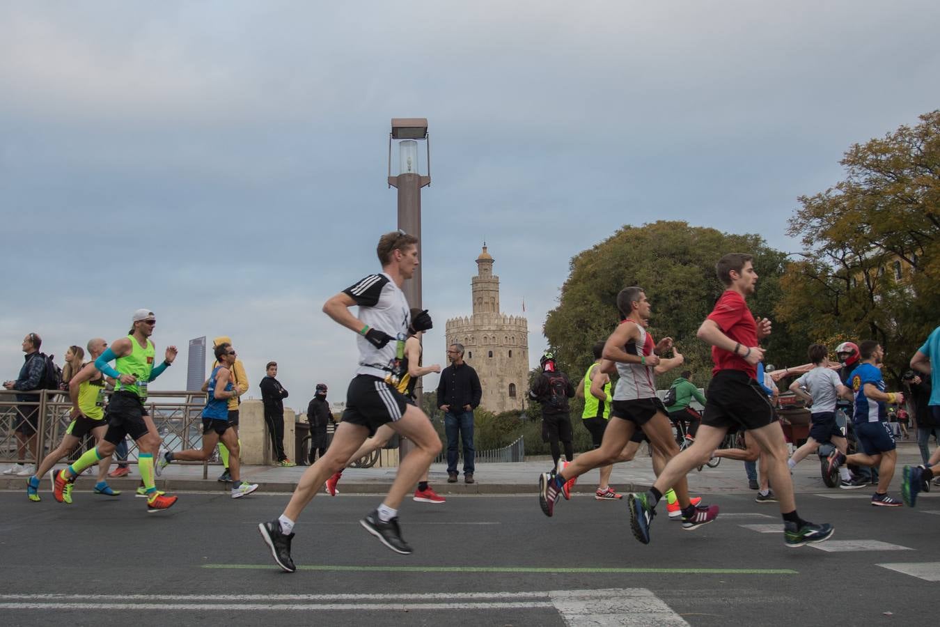 ¿Has corrido el Maratón de Sevilla? ¡Búscate aquí! (III)