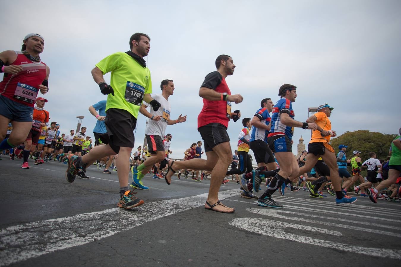 ¿Has corrido el Maratón de Sevilla? ¡Búscate aquí! (III)