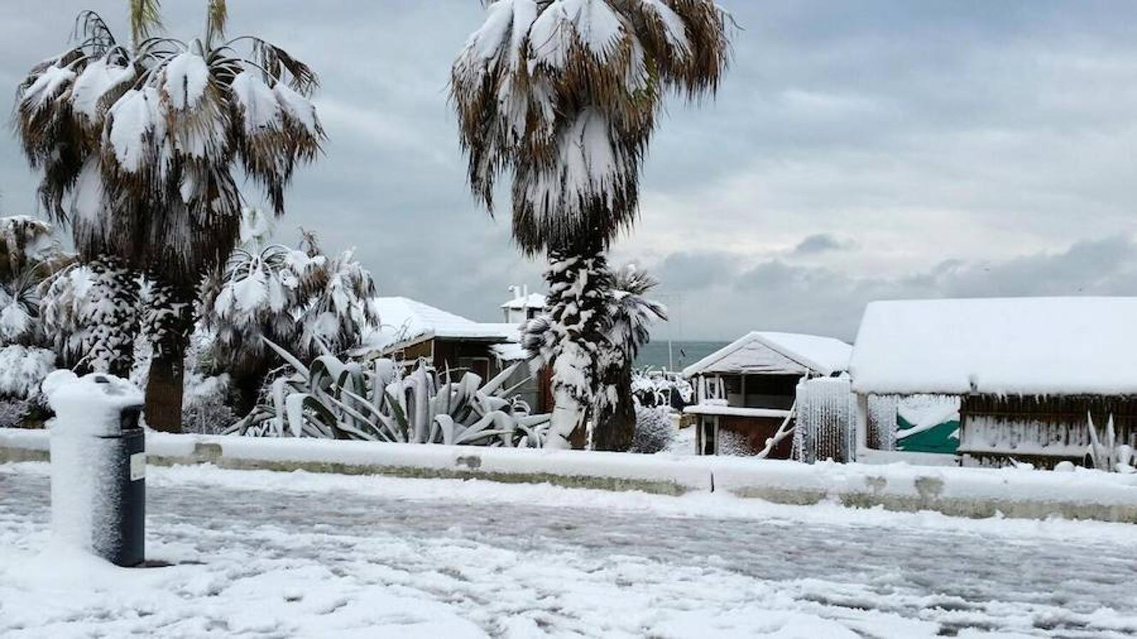 La playa de Ostia (Roma) completamente cubierta de nieve por el temporal. 