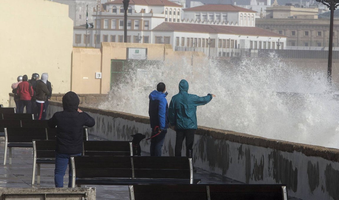 FOTOS: &#039;Emma&#039; deja estragos en Cádiz capital