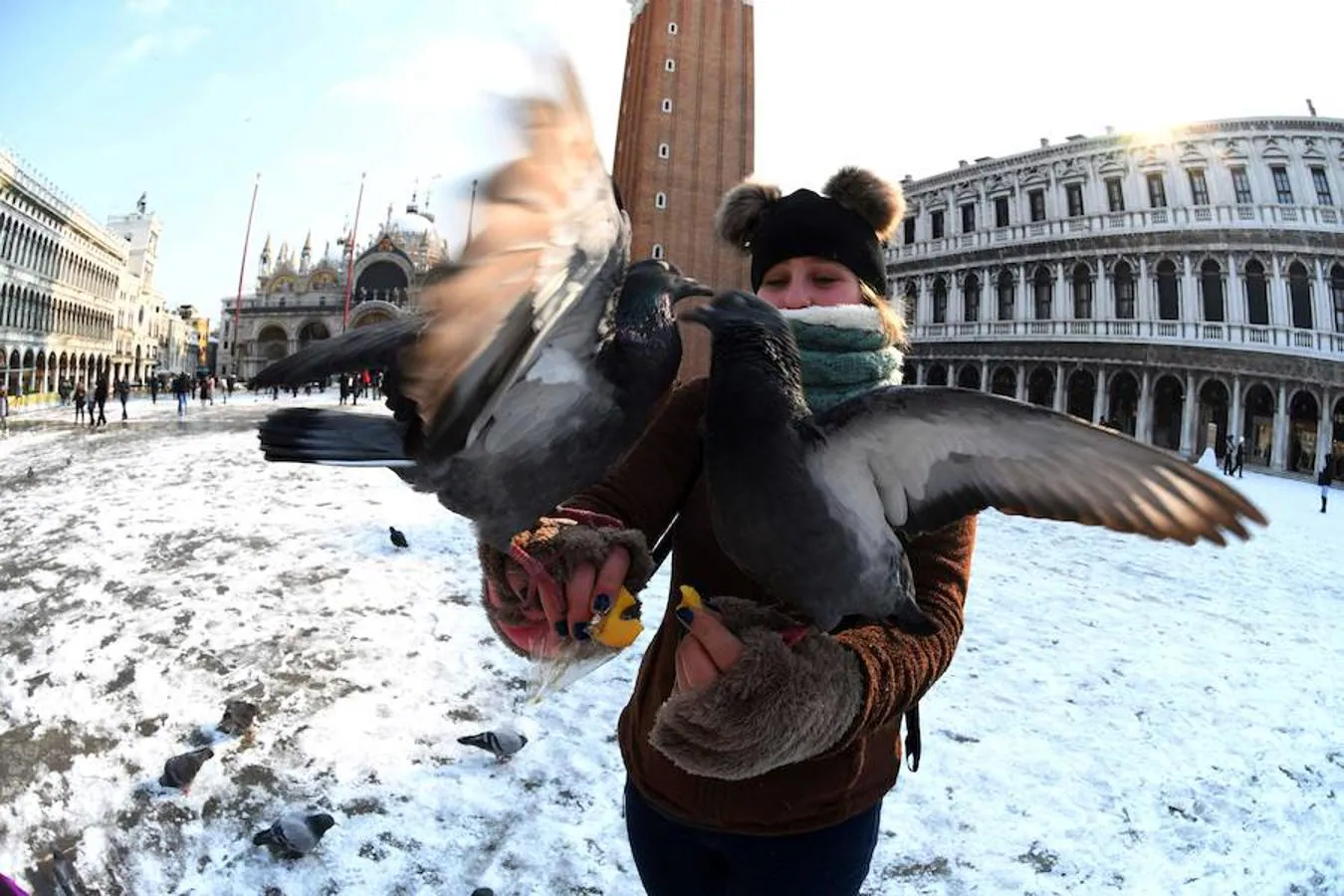 Una turista da de comer a una paloma en la Plaza de San Marcos de Venecia, cubierta de nieve.. 