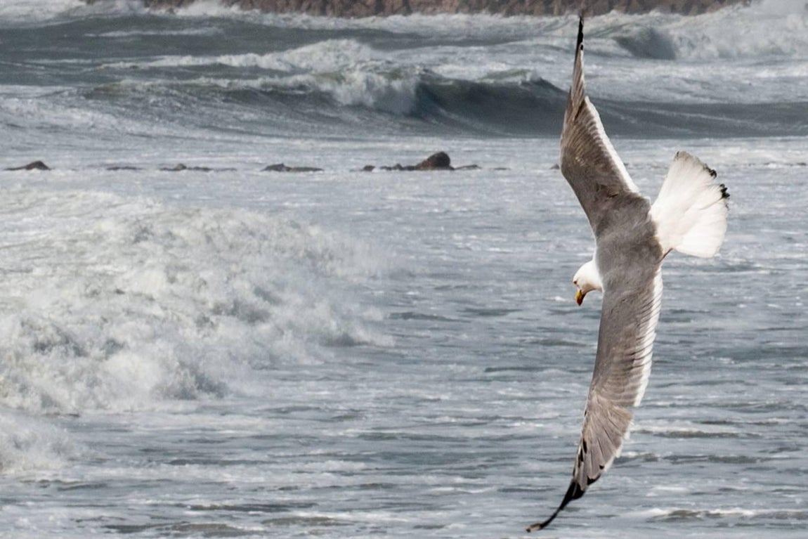 Las impresionantes imágenes que deja el temporal