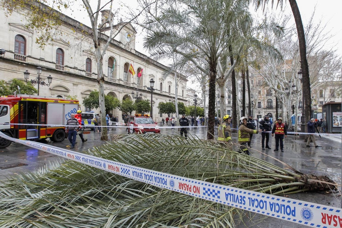 Las impresionantes imágenes que deja el temporal