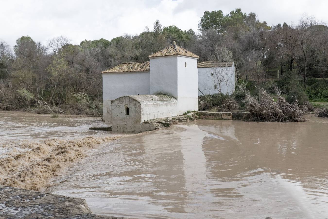 Molinos del río Guadaíra, casi inundados