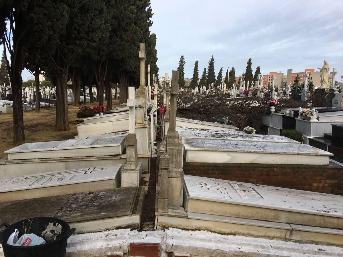 Así ha quedado el cementerio de Sevilla tras el temporal