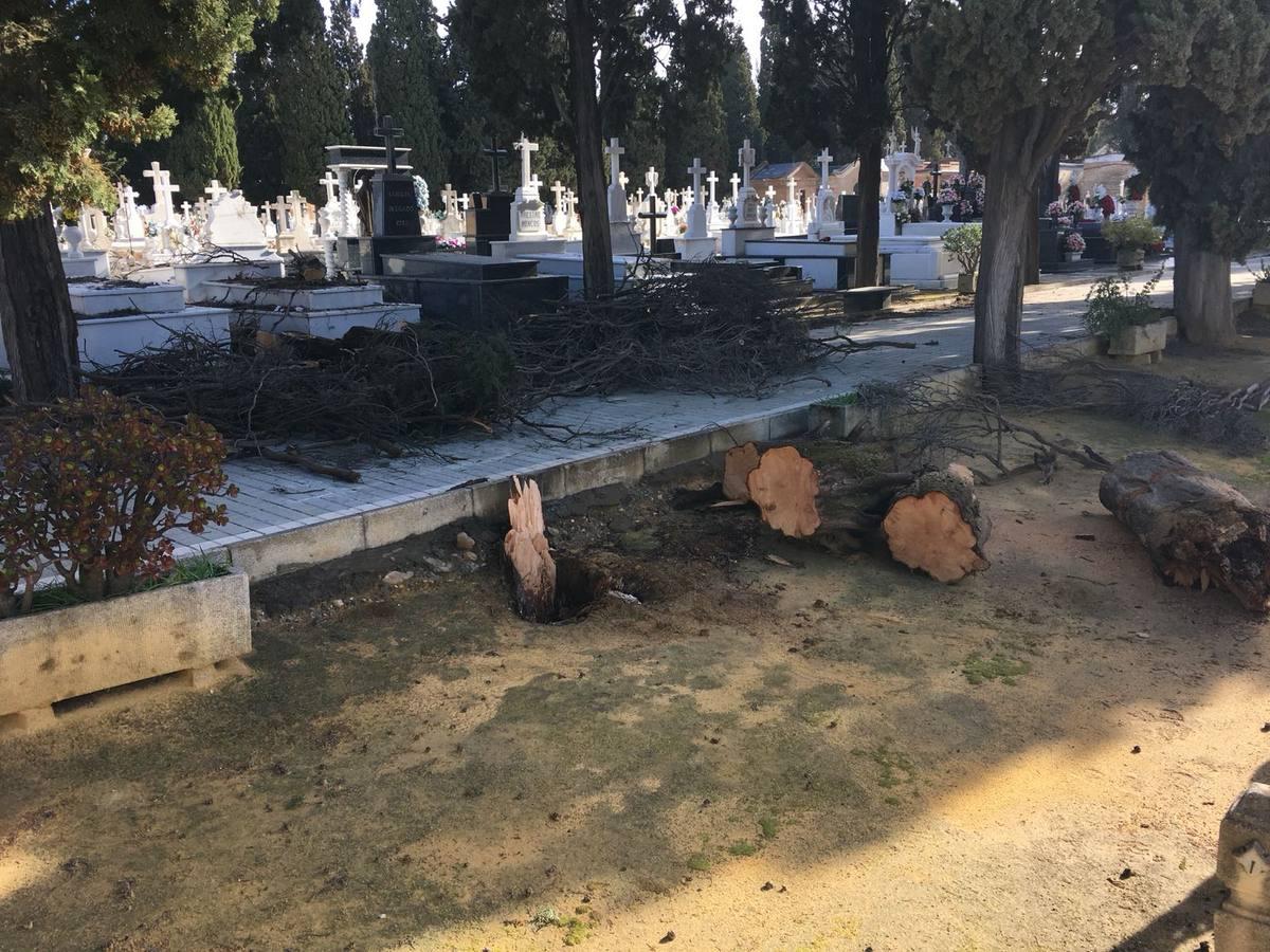 Así ha quedado el cementerio de Sevilla tras el temporal