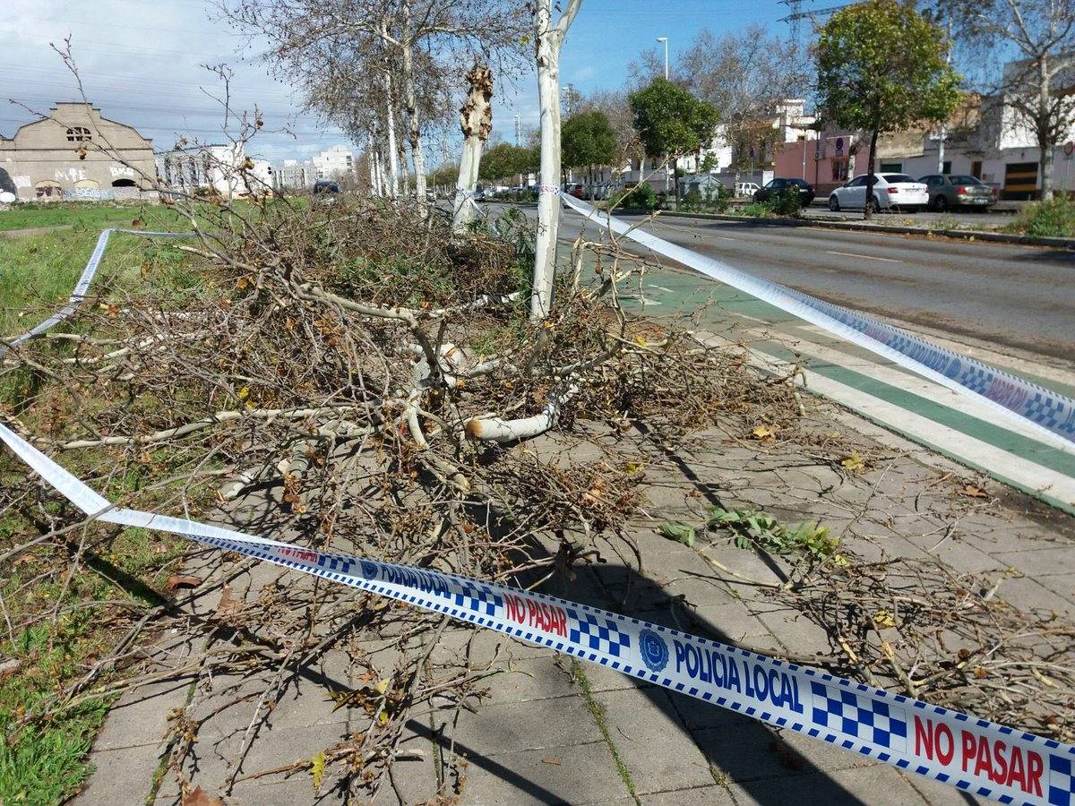 #TemporalABCsev: Los estragos del temporal en la ciudad desde el objetivo de los sevillanos