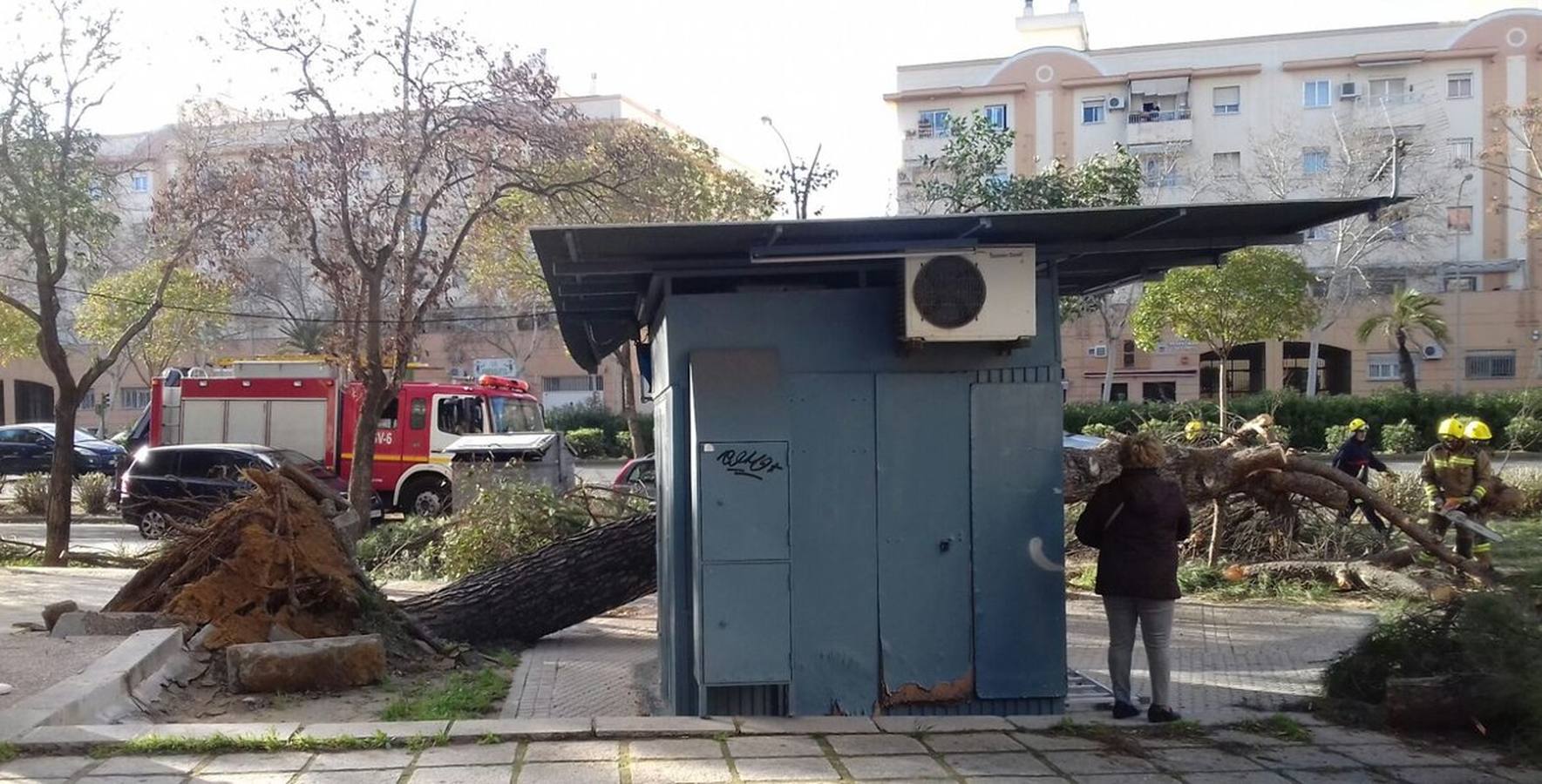 #TemporalABCsev: Los estragos del temporal en la ciudad desde el objetivo de los sevillanos