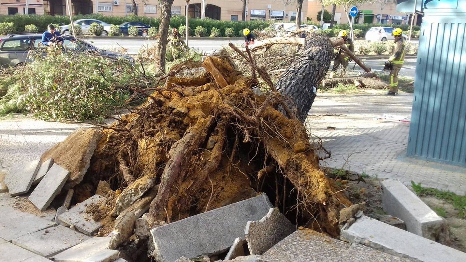 #TemporalABCsev: Los estragos del temporal en la ciudad desde el objetivo de los sevillanos