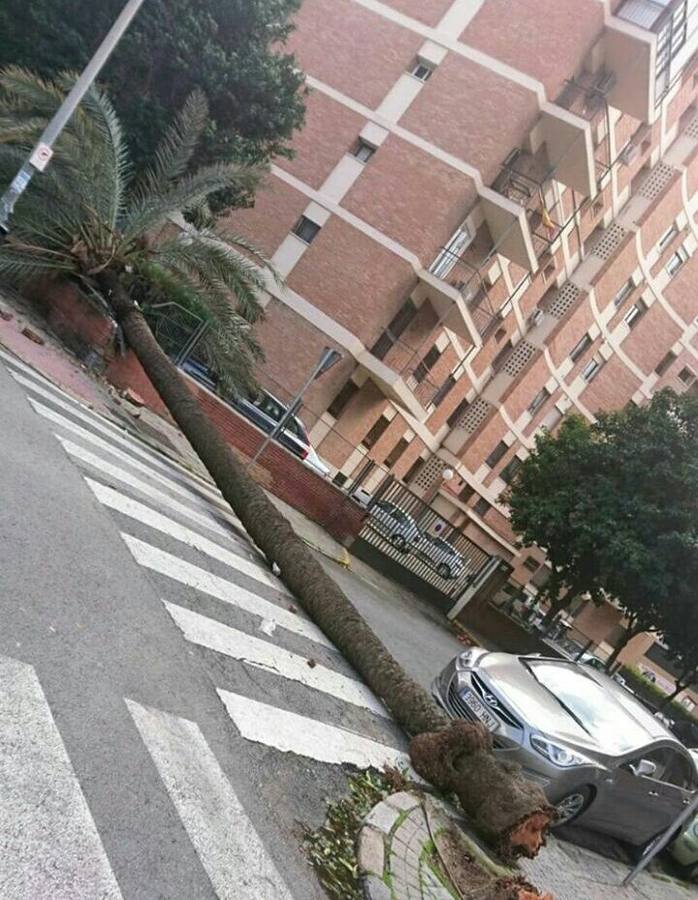 #TemporalABCsev: Los estragos del temporal en la ciudad desde el objetivo de los sevillanos