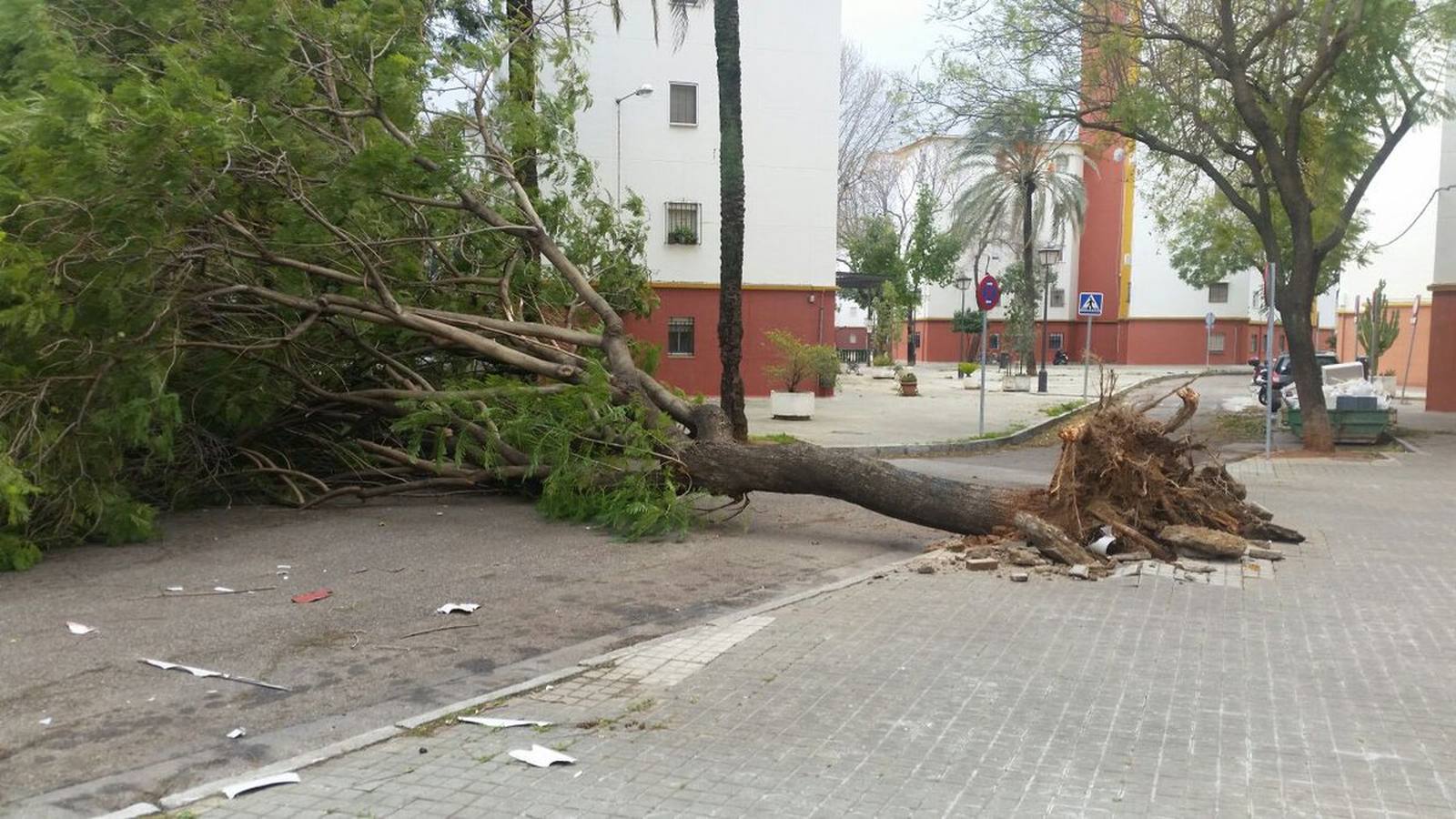 #TemporalABCsev: Los estragos del temporal en la ciudad desde el objetivo de los sevillanos