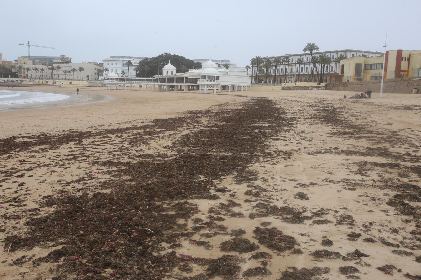 FOTOS: Arrancan las obras de reparación en el Puente Canal de Cádiz