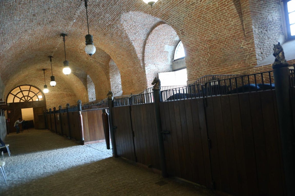 Las caballerizas. Imagen de las cuadras del Palacio Real, donde se encuentran los caballos que participan en los actos oficiales de Patrimonio Nacional