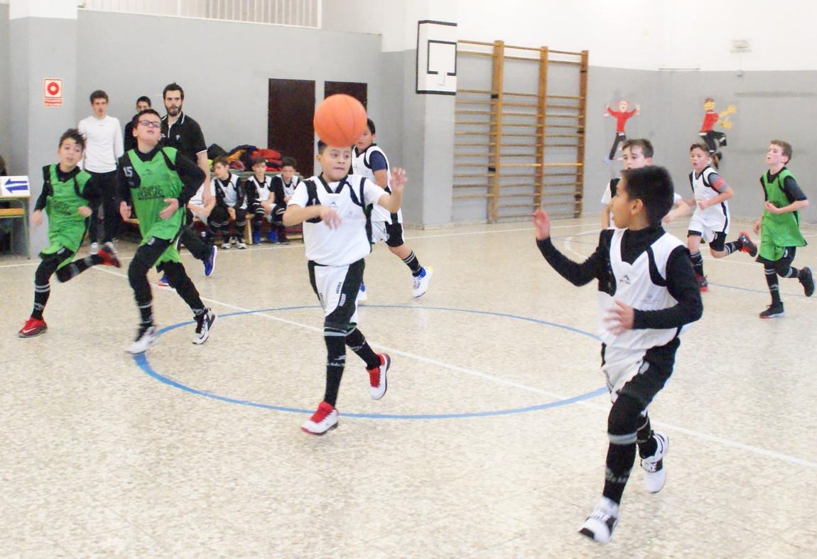Las mejores imágenes del partido de baloncesto entre Escuelas Pías Aluche y Obispo Perello