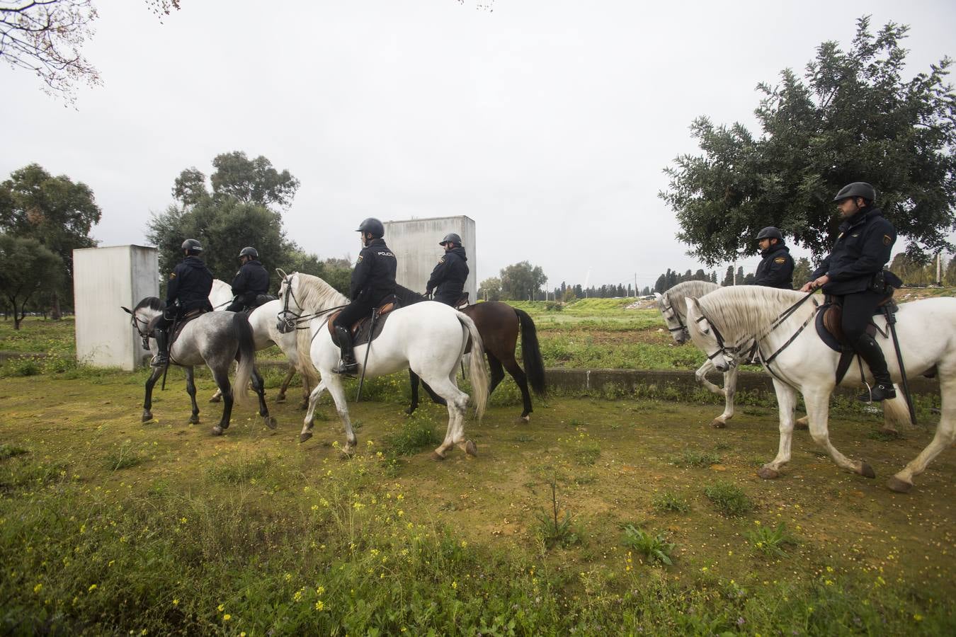 La redada policial en el vacie, Torreblanca y Polígono Sur, en imágenes