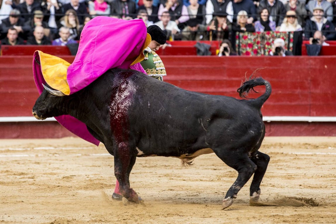 La explosiva faena de Roca Rey a un gran toro de Cuvillo, en imágenes