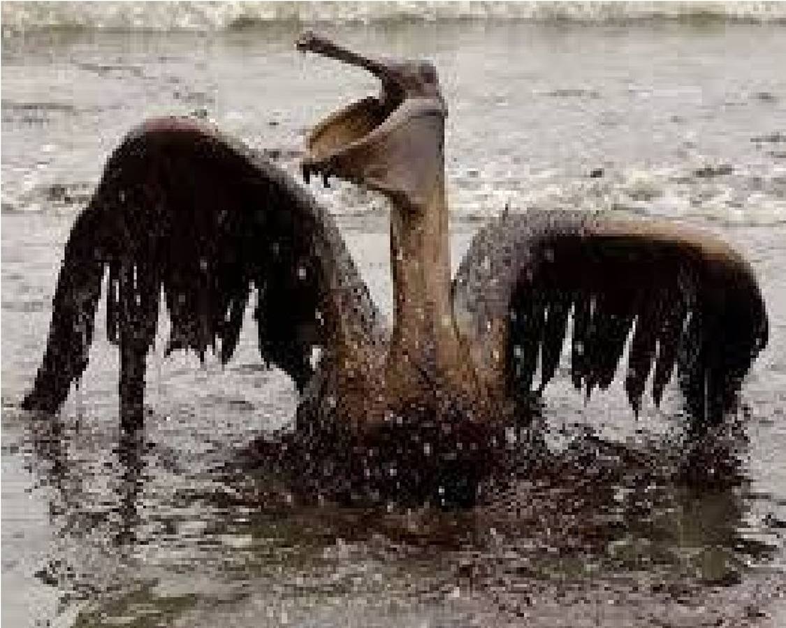 Las imágenes del naufragio del Amoco Cádiz