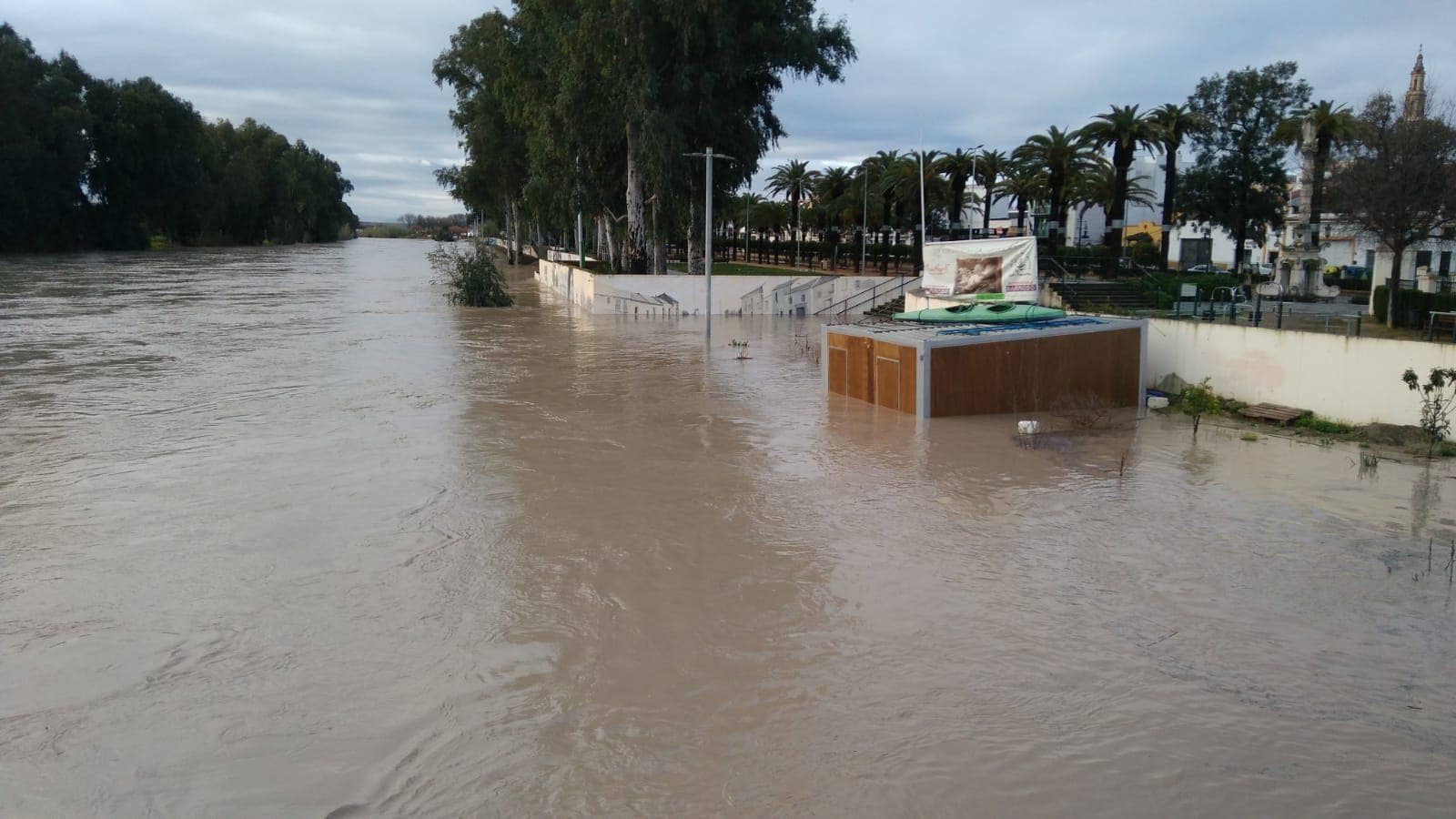 Estado de pre emergencia en Écija a causa del temporal