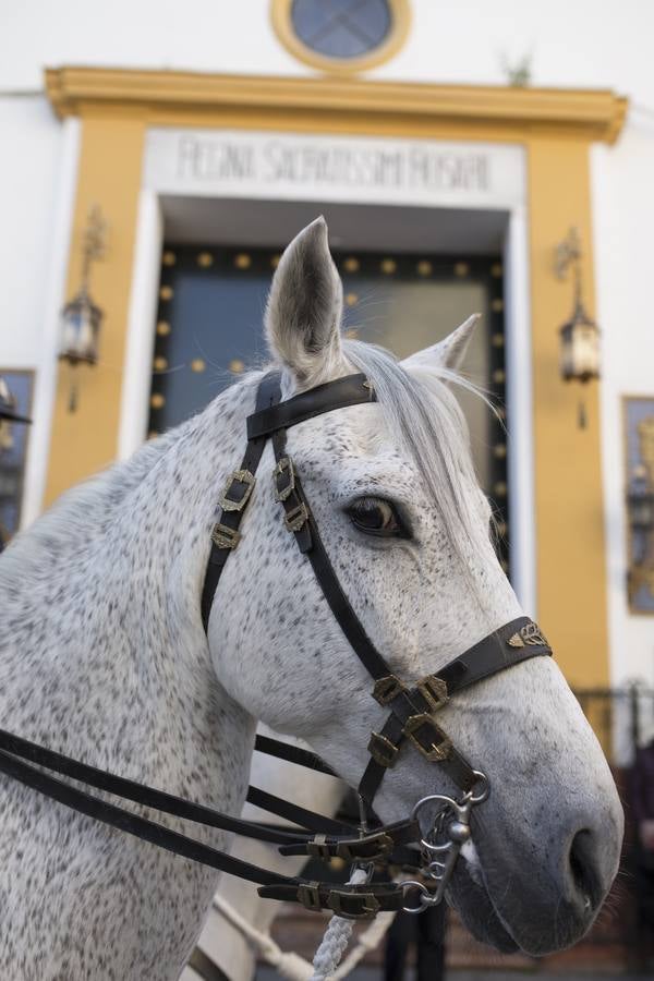 En fotos, Montesión en la Semana Santa de Sevilla 2018