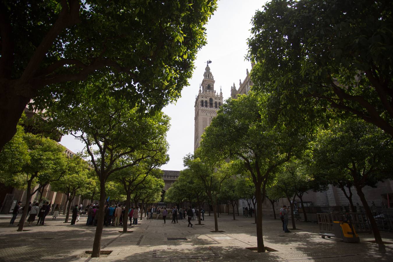 Los colores de la Giralda, un viaje del rojo al blanco