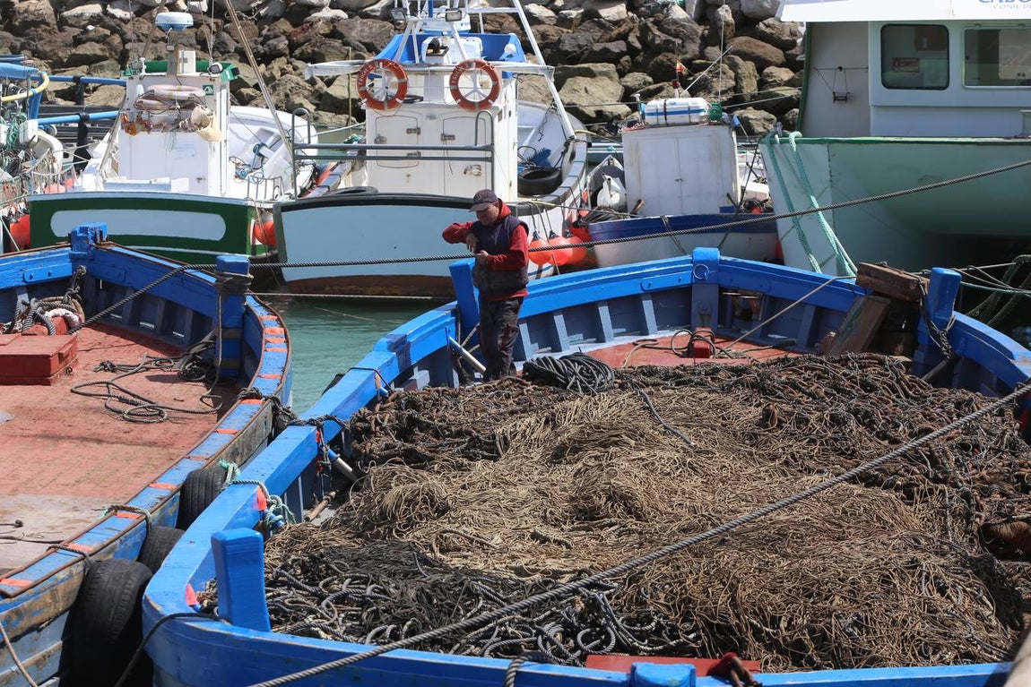 FOTOS: Preparativos en la almadraba de Conil
