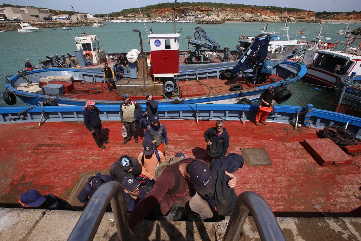 FOTOS: Preparativos en la almadraba de Conil