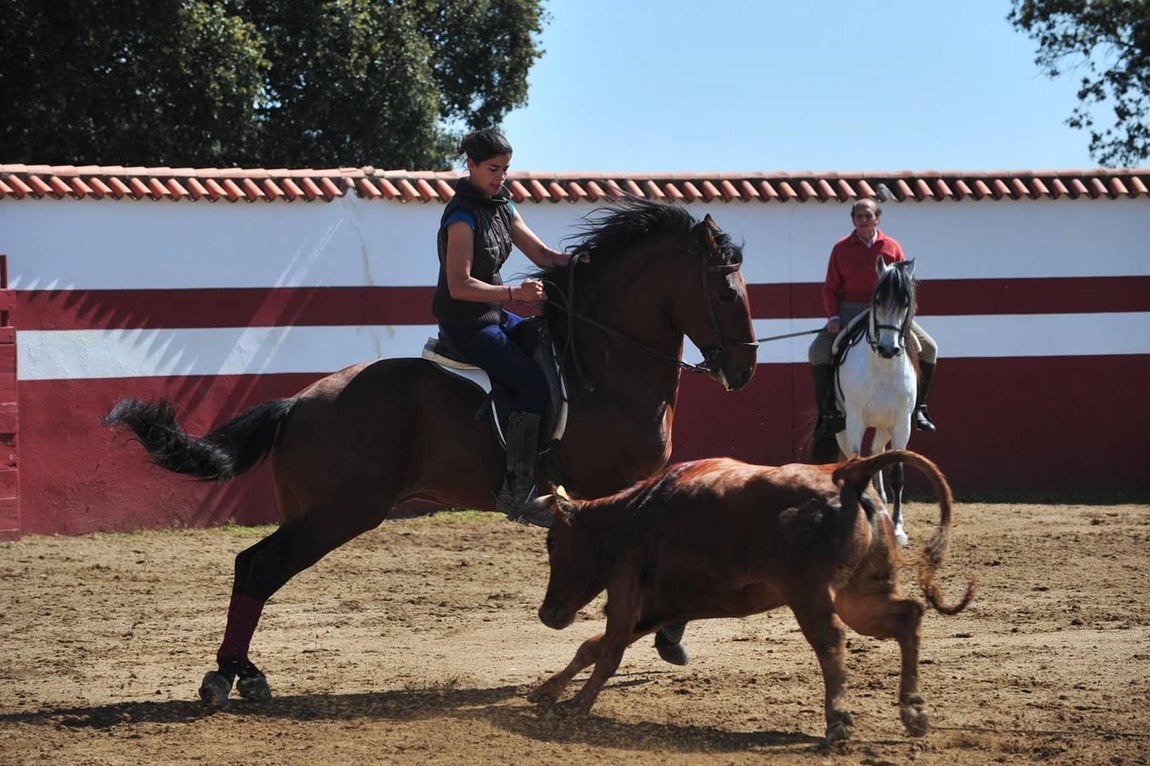La vida del rejoneador Ángel Peralta, en imágenes