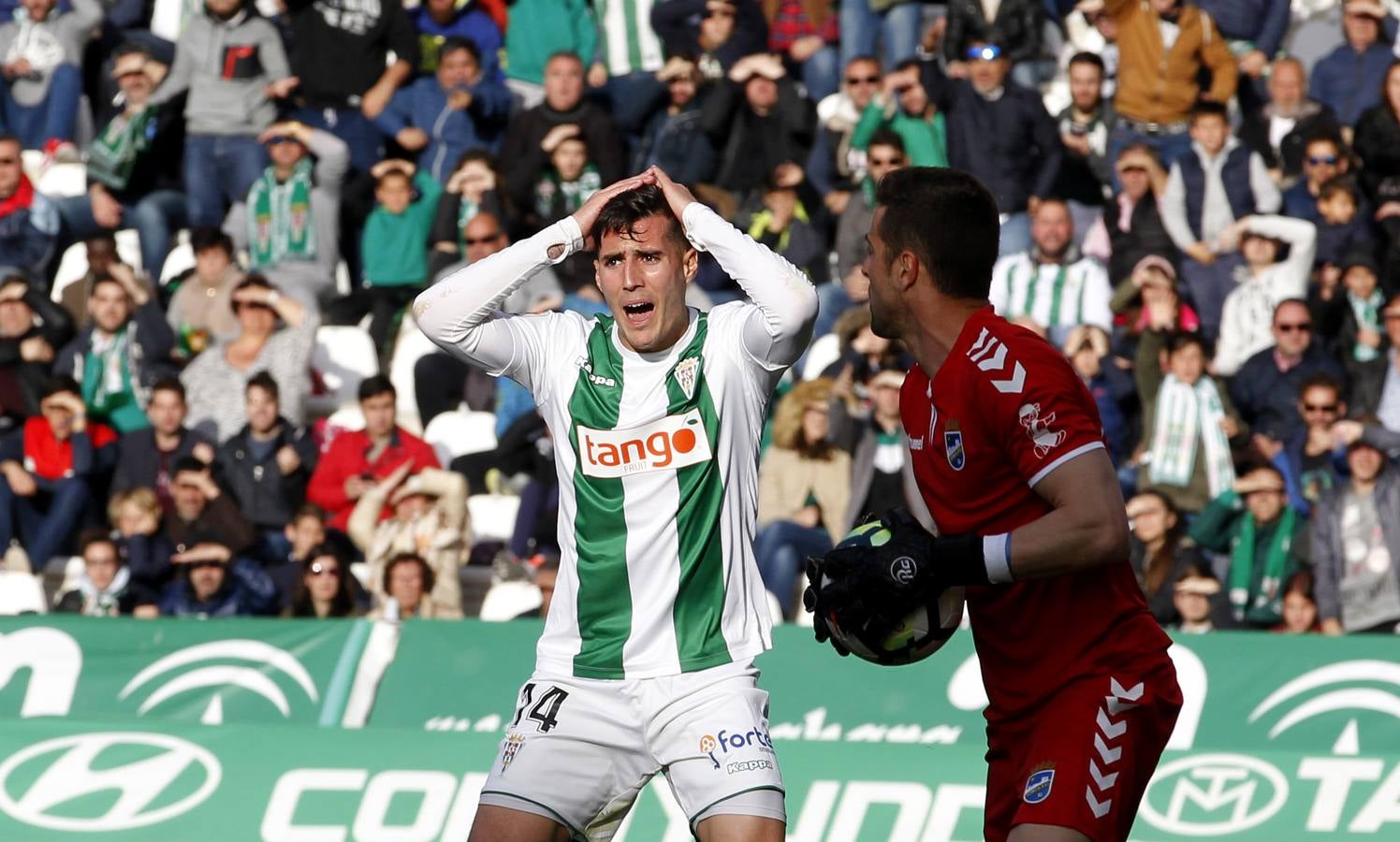 Las mejores imágenes del Córdoba CF-Lorca FC