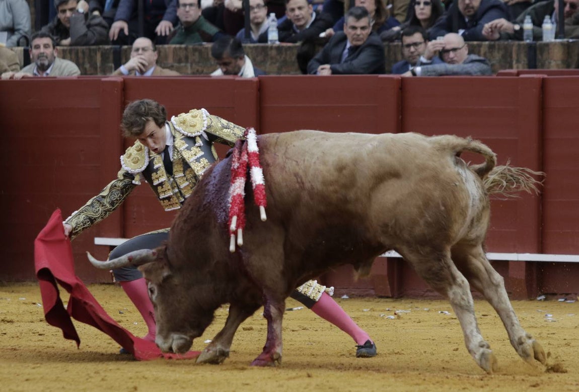 Las imágenes de la cogida de Román en la Maestranza