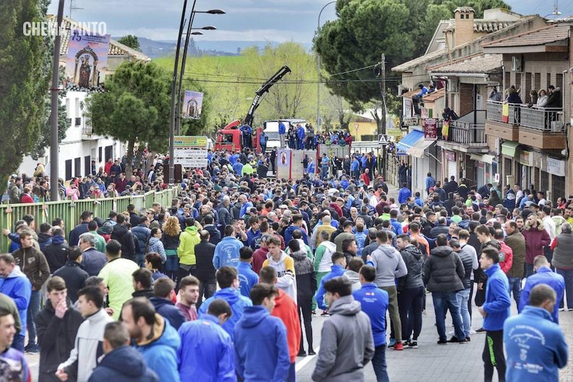 El toro «enmaromado», en imágenes