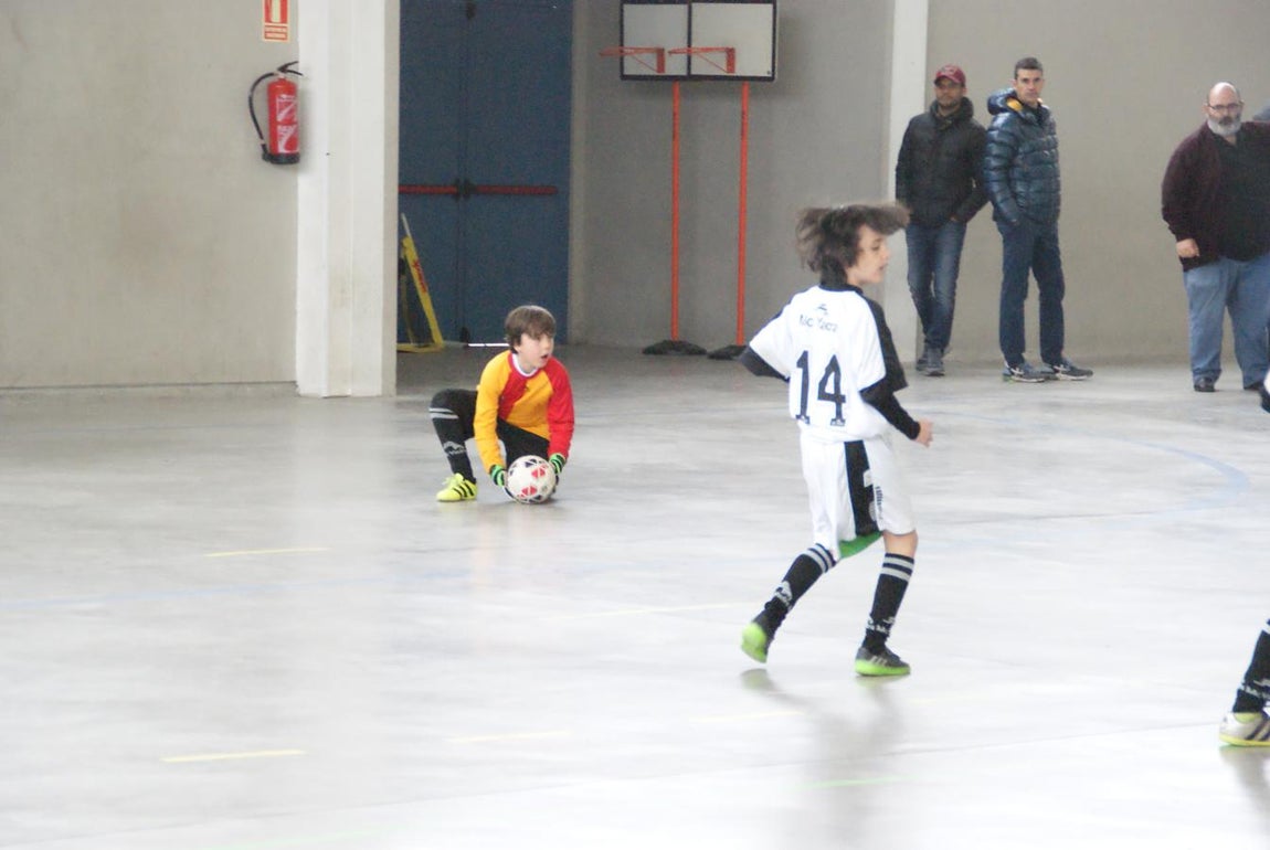 Las mejores imágenes del partido de fútsal benjamín mixto entre Fray Luis de León &quot;B&quot; y Jesús María &quot;C&quot;