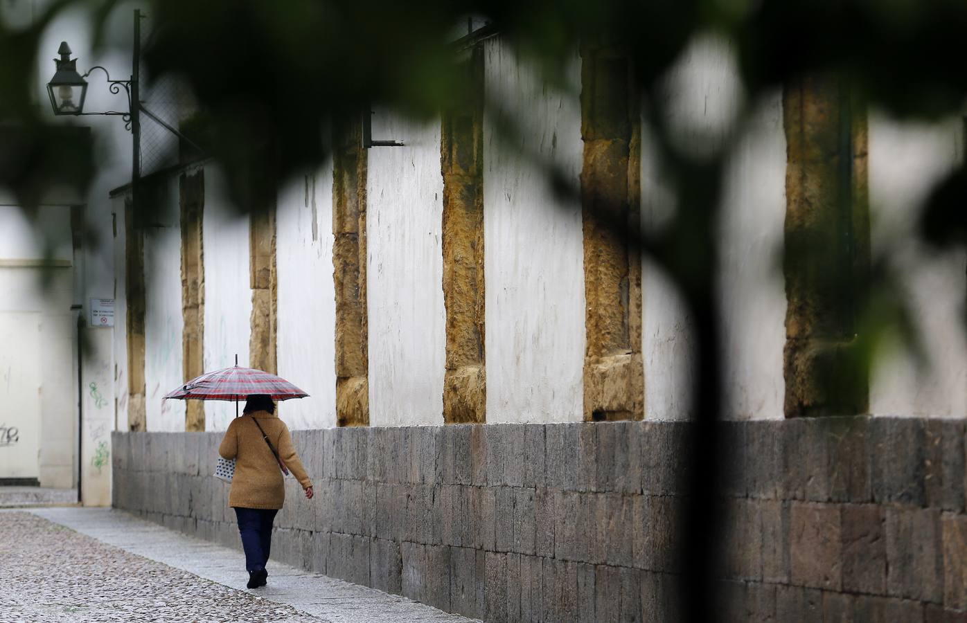 La primavera florece en Córdoba entre la lluvia, en imágenes