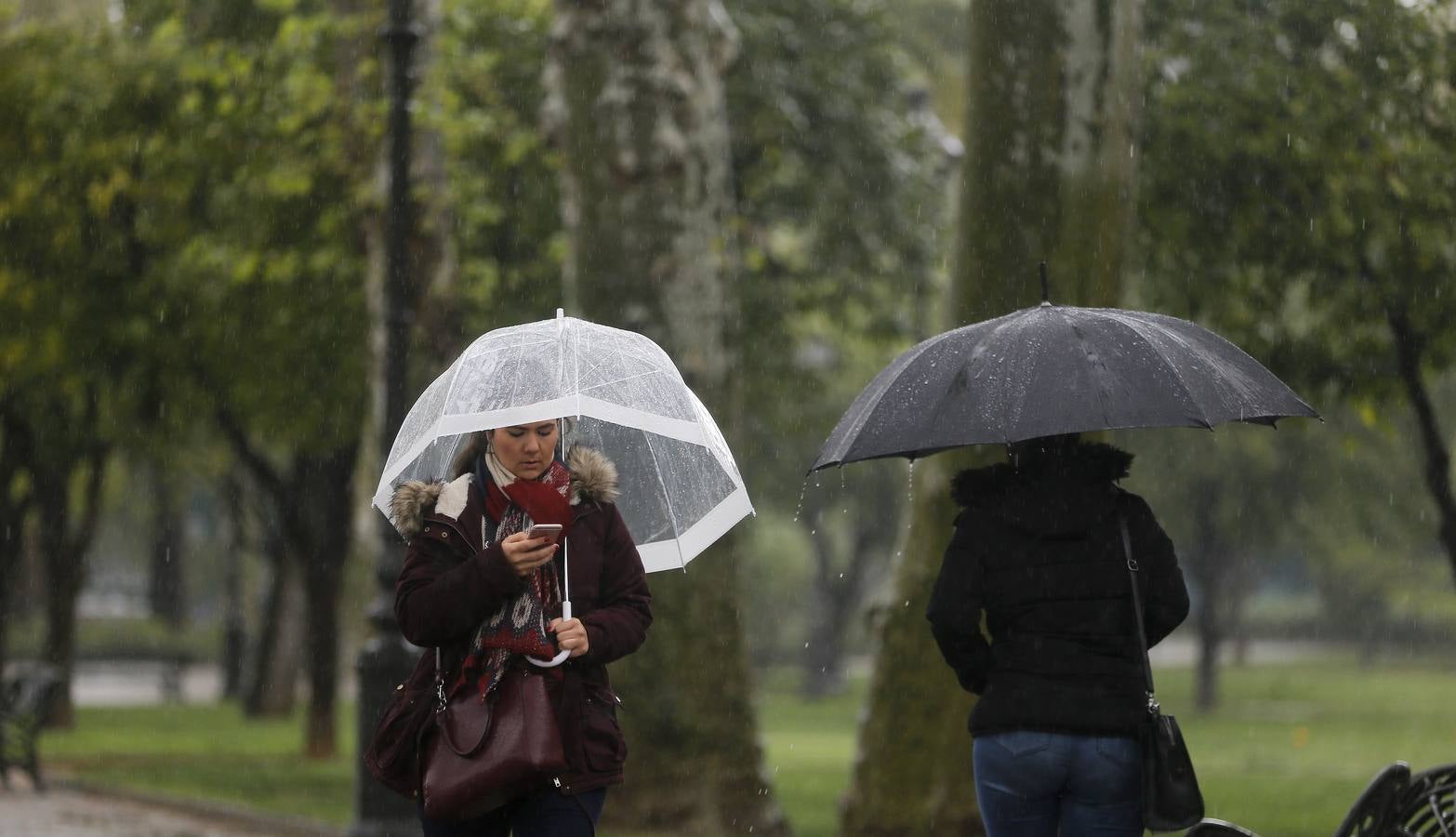 La primavera florece en Córdoba entre la lluvia, en imágenes