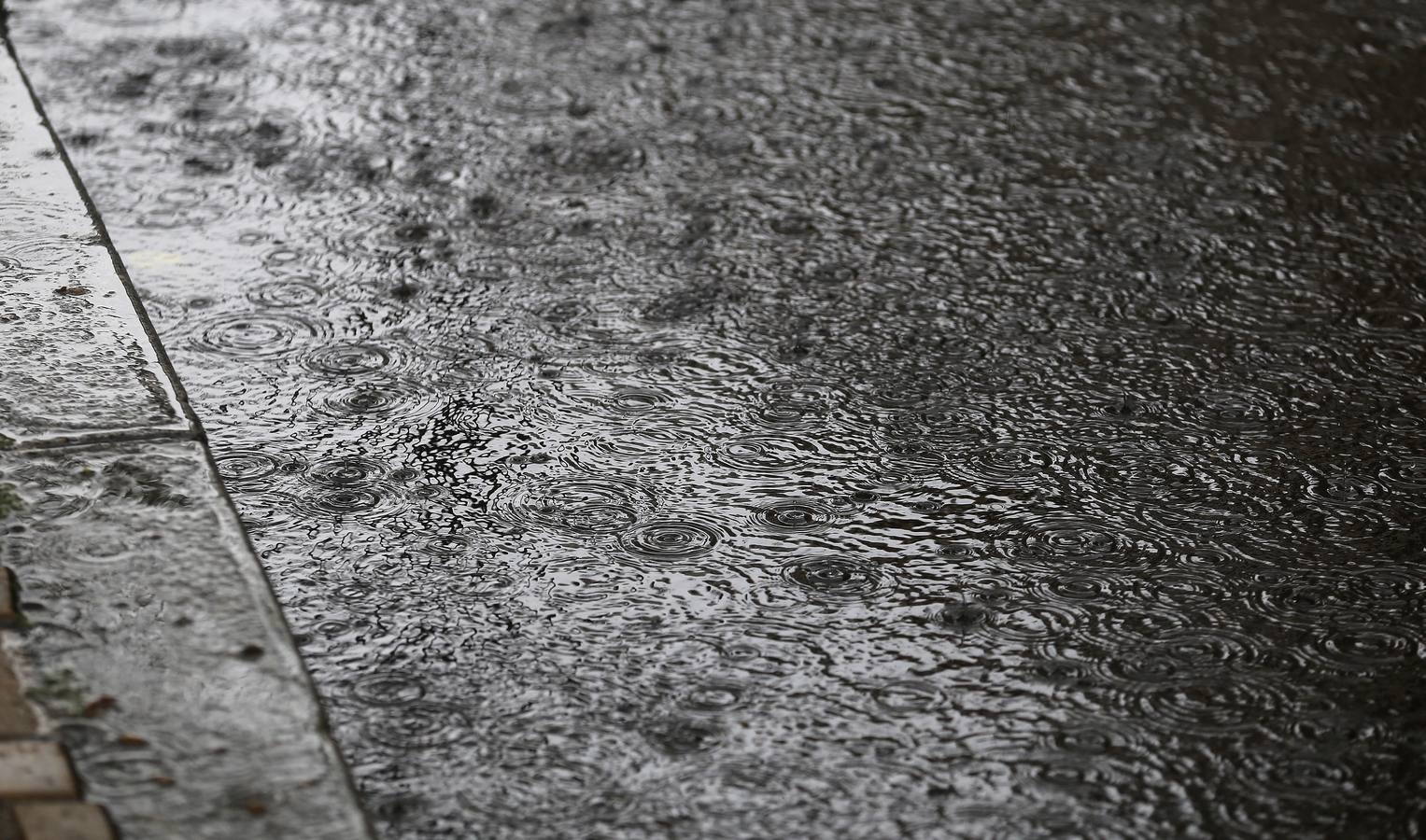 La primavera florece en Córdoba entre la lluvia, en imágenes