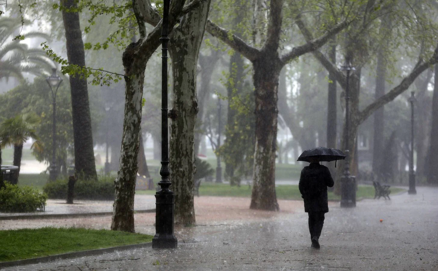 La primavera florece en Córdoba entre la lluvia, en imágenes