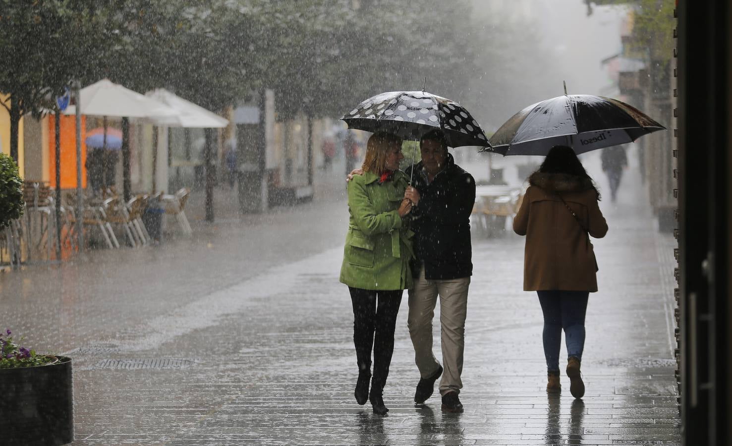 La primavera florece en Córdoba entre la lluvia, en imágenes