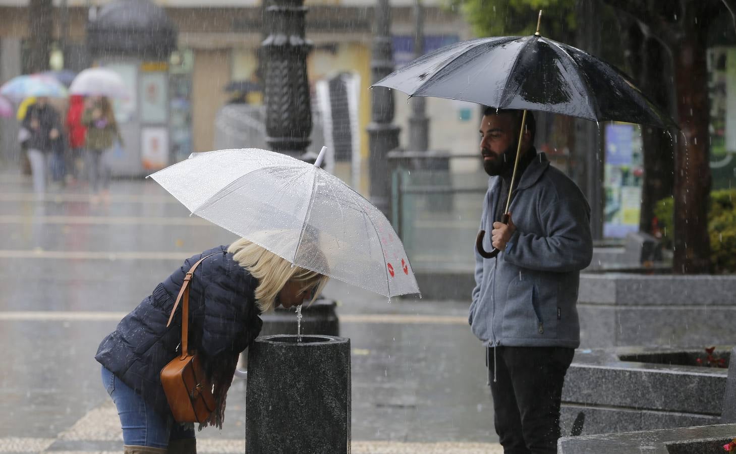 La primavera florece en Córdoba entre la lluvia, en imágenes