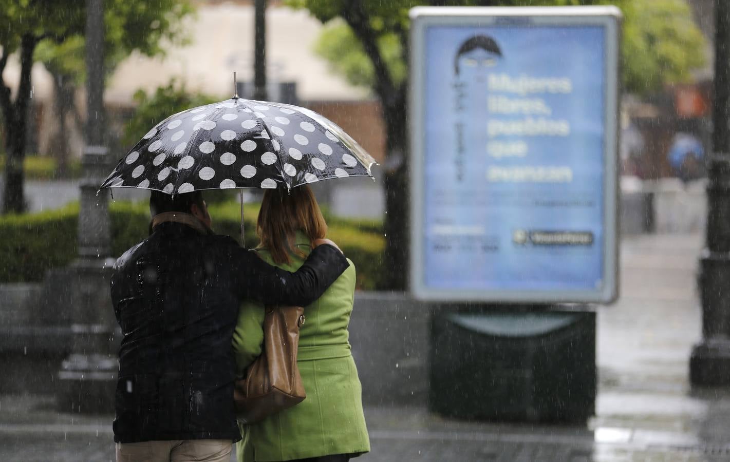 La primavera florece en Córdoba entre la lluvia, en imágenes