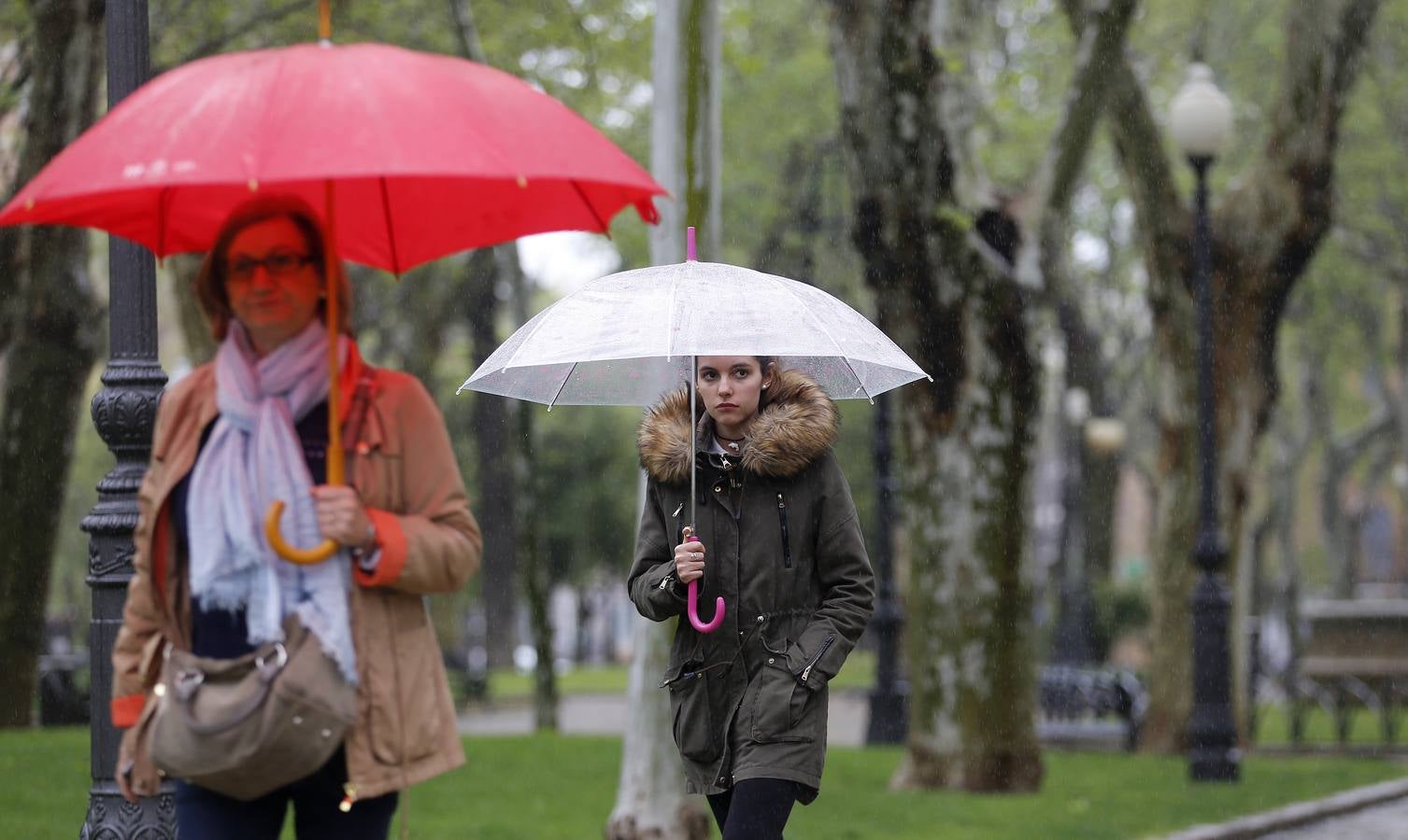 La primavera florece en Córdoba entre la lluvia, en imágenes