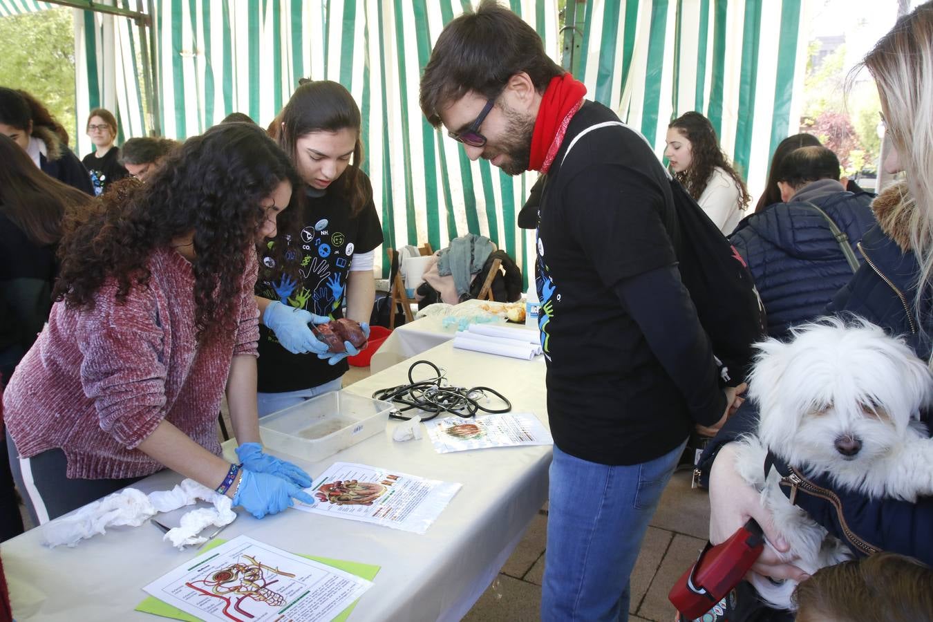 En imágenes, los experimentos del Paseo por la Ciencia en Córdoba