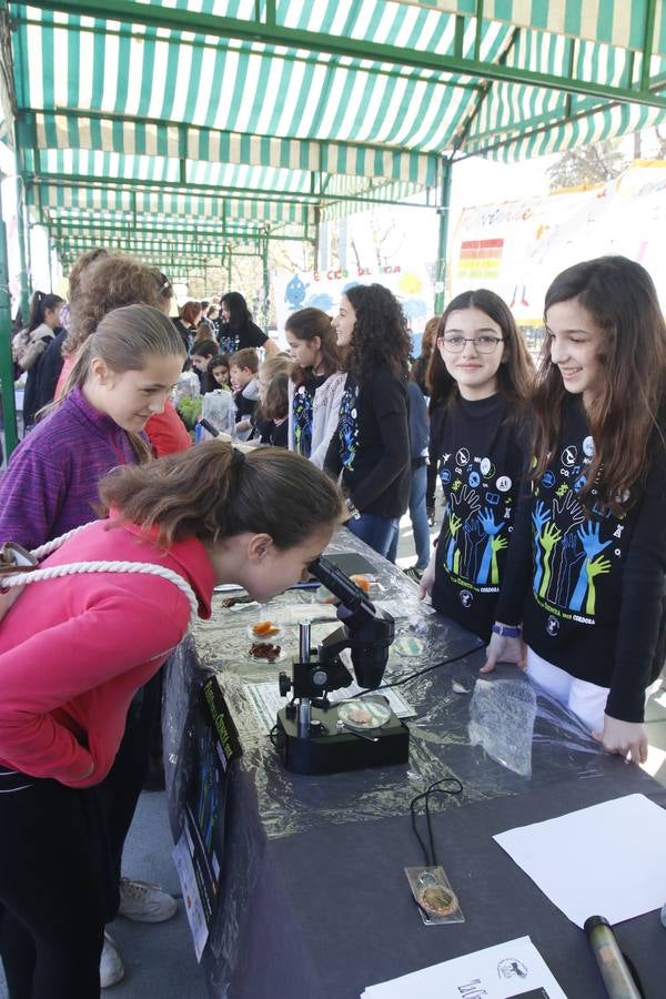 En imágenes, los experimentos del Paseo por la Ciencia en Córdoba