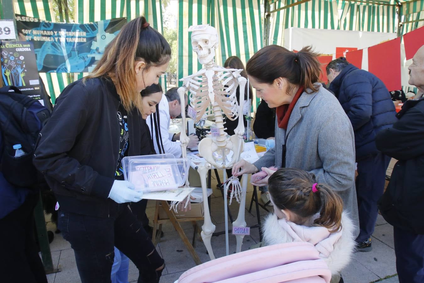 En imágenes, los experimentos del Paseo por la Ciencia en Córdoba