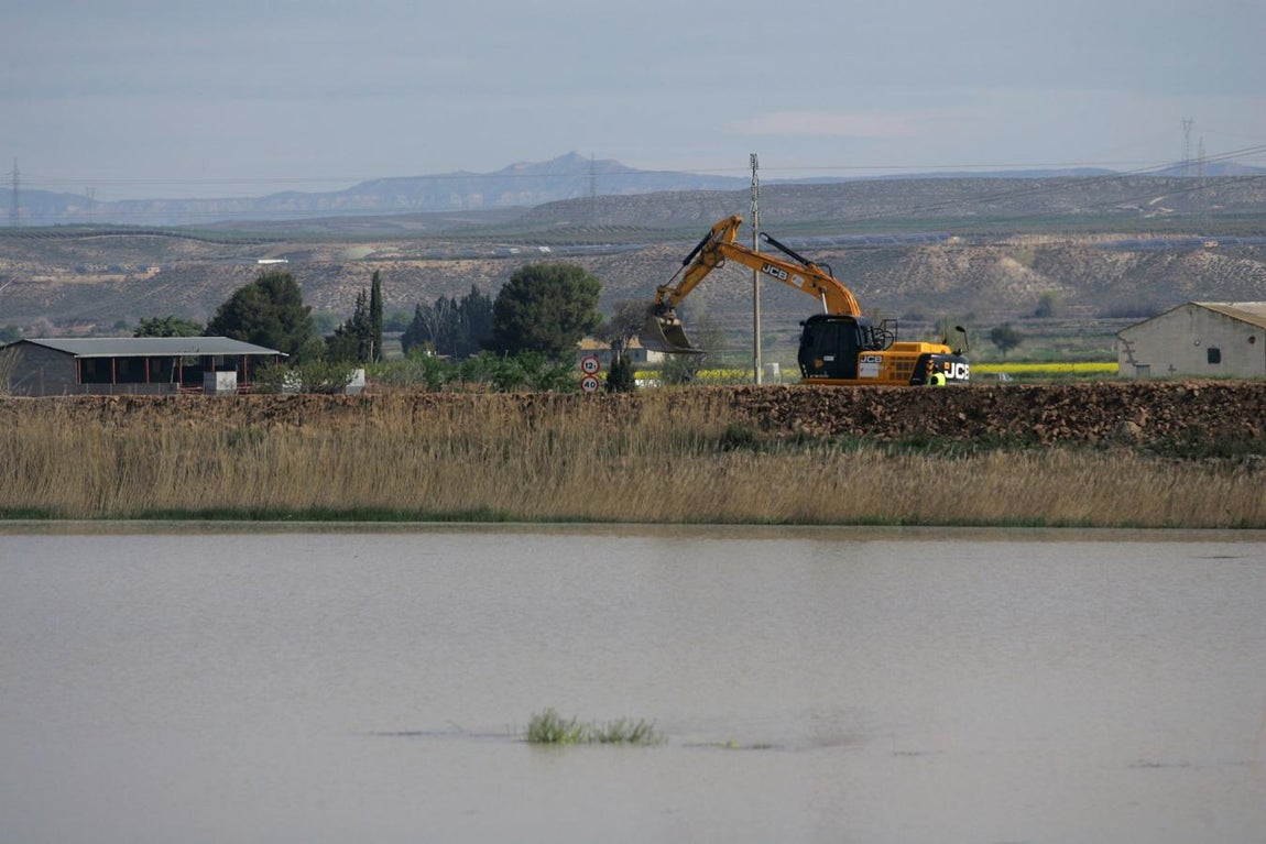 El paso de la punta de la crecida del Ebro por Zaragoza y su llegada a las poblaciones de la Ribera Baja centran las preocupaciones del operativos institucional coordinado para hacer frente a las afecciones causadas por la riada .En la imagen, una excavadora refuerza la mota de Pîna de Ebro. 