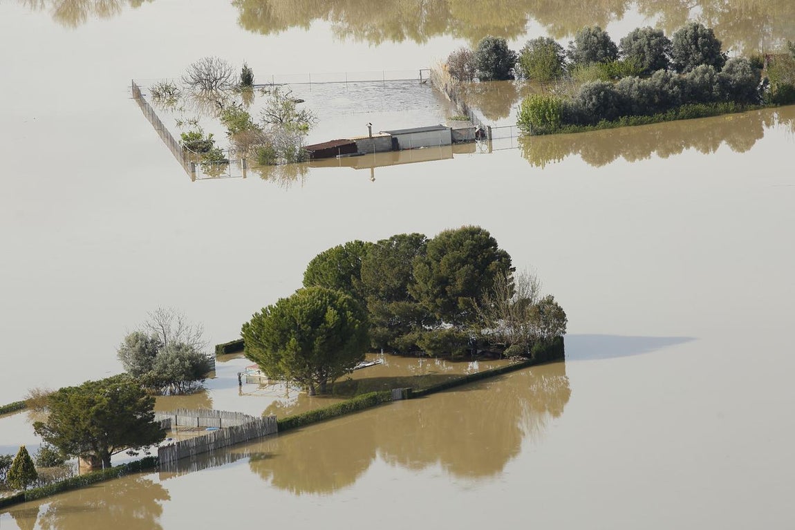 La punta de la crecida del Ebro a su llegada a Zaragoza. Las fincas de los vecinos, asediadas por el agua. 