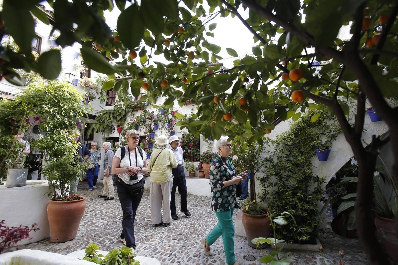 Los Patios de Córdoba ultiman detalles, en imágenes